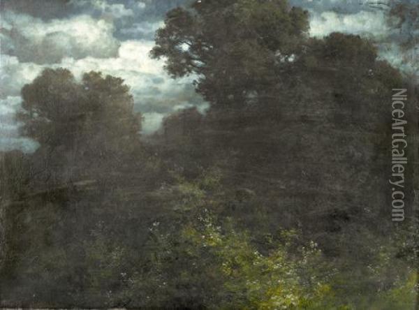 Waldstuck In Nachtlichem Licht. Oil Painting - Hermann Traugott Rudisuhli
