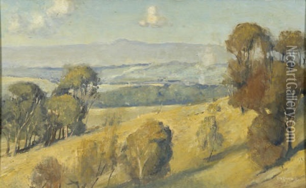 Dandenong Landscape Oil Painting - Tom Robertson