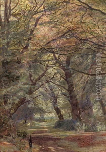 A Path Through A Wooded Landscape Oil Painting - Newton Benett