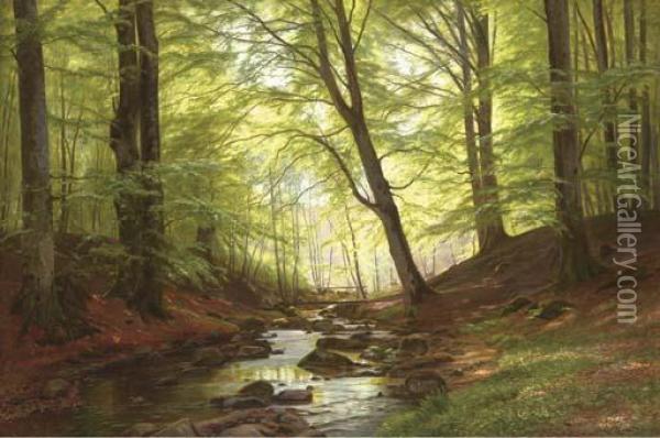 A Stream In A Forest Oil Painting - Christian Zacho