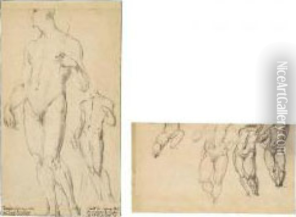 Two Studies Of A Male Nude Oil Painting - Giovanni Antonio Sogliani
