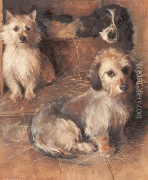 Two Terriers And A Spaniel Oil Painting - Samuel Fulton