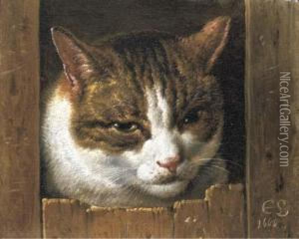 A Cat Peeping Through A Fence Oil Painting - Cornelis Saftleven