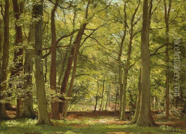 View Of A Forest Oil Painting - Johan Hendrik Doeleman
