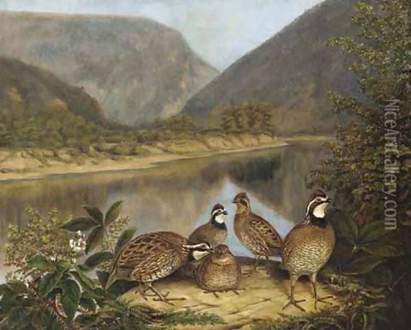 Five Bobwhites at the Delaware Water Gap 2 Oil Painting - Titian Ramsay Peale