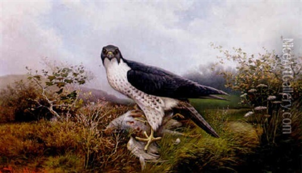 Wanderfalke (falco Peregrinus) Oil Painting - Friedrich Albert Schmidt