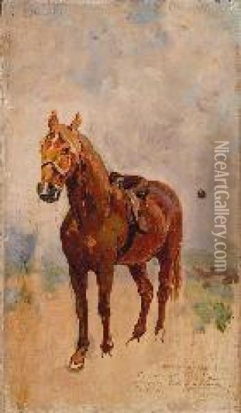 Studio Di Cavallo Oil Painting - Edoardo Dalbono