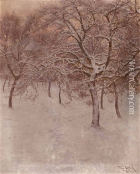 Obstgarten Im Winter Oil Painting - Emil Czech