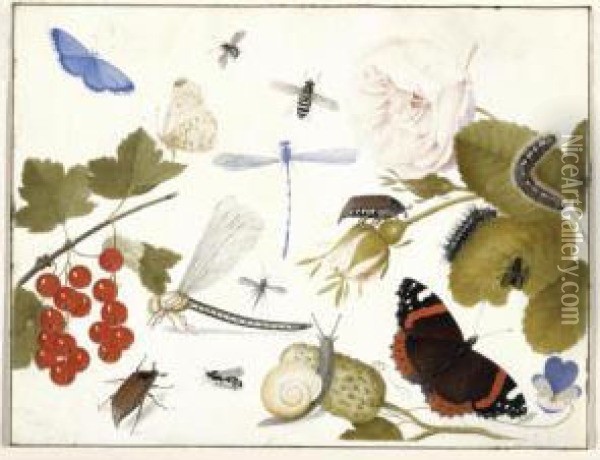 Still Life Of Insects With Fruit And Flowers Oil Painting - Jan van Kessel