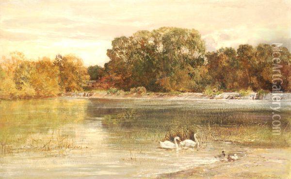 Riverscene With Swans And Ducks Oil Painting - Heywood Hardy