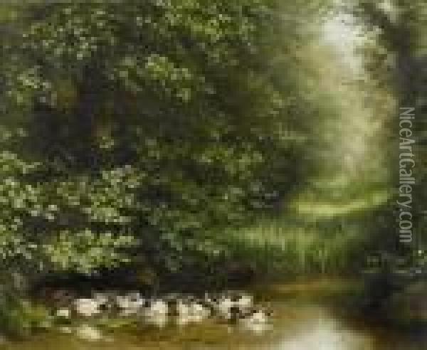 Ducks At A Pond Oil Painting - Fritz Zuber-Buhler