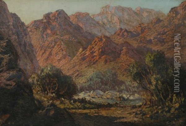 A Rock Pool In The Mountains Oil Painting - Tinus de Jongh