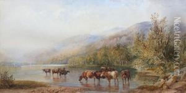 Cattle Watering By A Lake Oil Painting - Cornelius Pearson