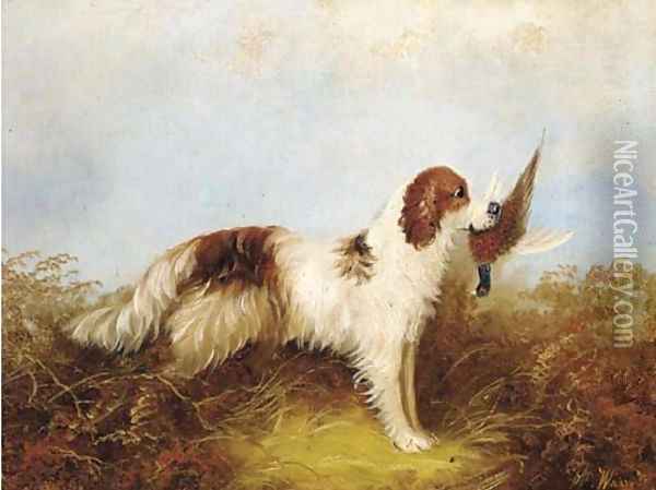 A gun dog with a pheasant Oil Painting - William Tom Warrener