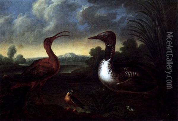 Wasservogel In Einer Landschaft Oil Painting - Josef Franz Adolph