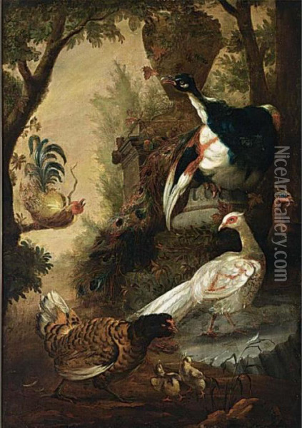 Peacocks And Other Birds In A Park Landscape Oil Painting - Melchior de Hondecoeter