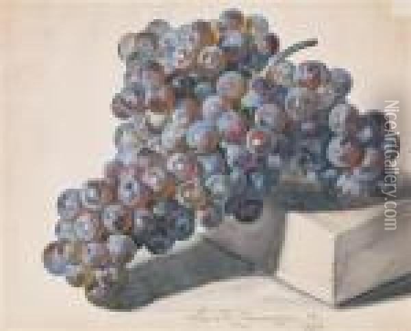 Dark Grape Oil Painting - Leopold Zinnogger