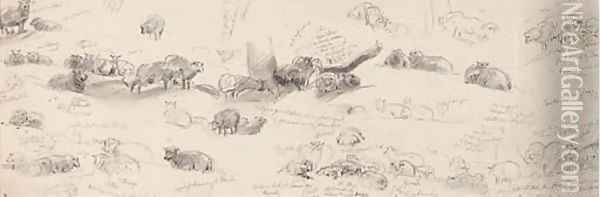Studies of sheep Oil Painting - Sir Edwin Henry Landseer