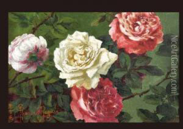 Roses Oil Painting - Eleonora, Tama Ragusa