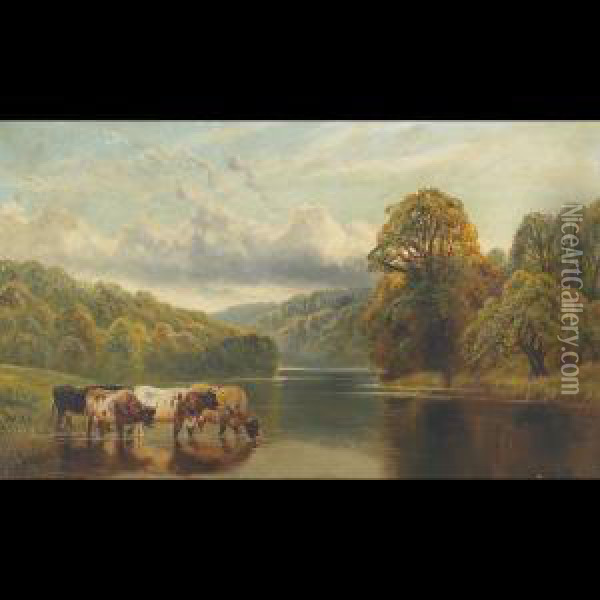 Cattle Watering In A Lake Oil Painting - William Vivian Tippet