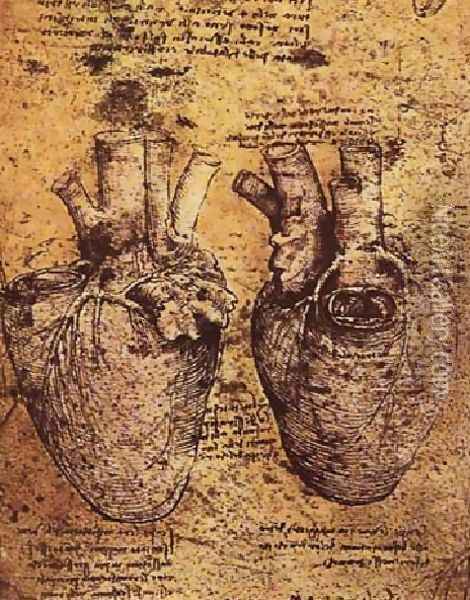 Heart And Its Blood Vessels Oil Painting - Leonardo Da Vinci