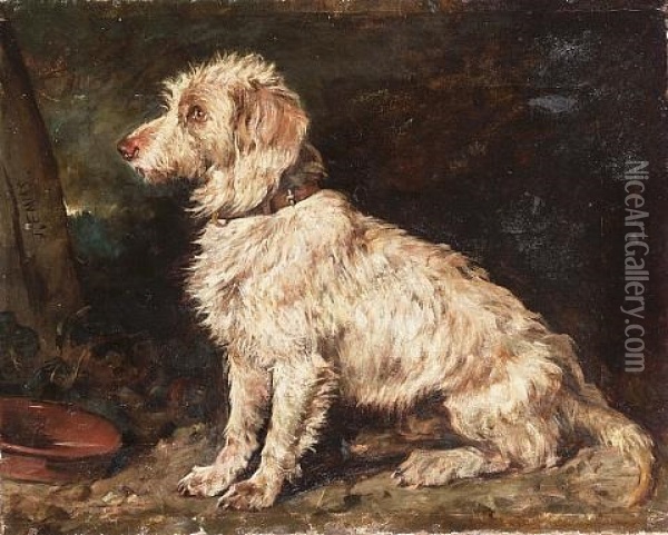 Study Of A Seated Terrier (a Bedlington?) Oil Painting - John Emms