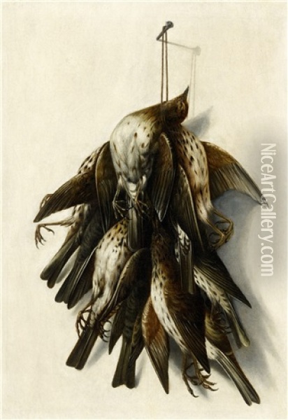 Trompe-l'oeil Mit Erlegten Vogeln Oil Painting - Jacobus Biltius
