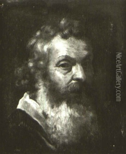 Portrait Of A Gentleman Oil Painting - Pier Francesco Mola