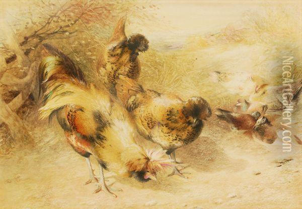 Chickens And Doves Oil Painting - William Huggins