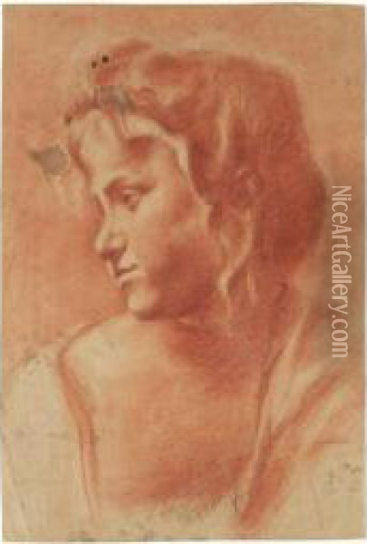 Busto Di Fanciullo Rivolto Verso Sinistra Oil Painting - Federico Bencovich