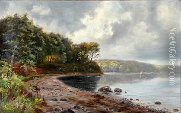 Silkeborgsoerne (view Of The Silkeborg Lakes, Jutland) Oil Painting - Janus la Cour