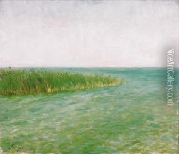The Edge Of Lake Balaton (buffaloes' Bath) Oil Painting - Paul Von Szinyei-Merse