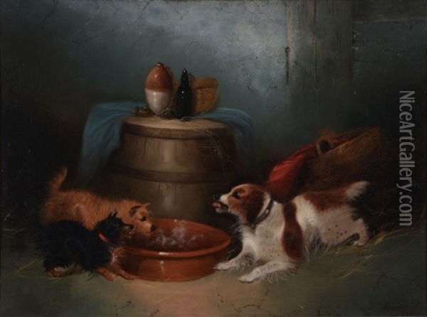 Terriers And Spaniel Oil Painting - George Armfield