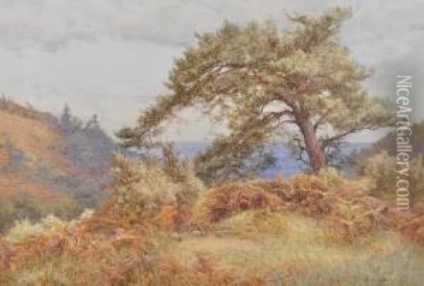 On Holmbury Hill Oil Painting - Frank Walton