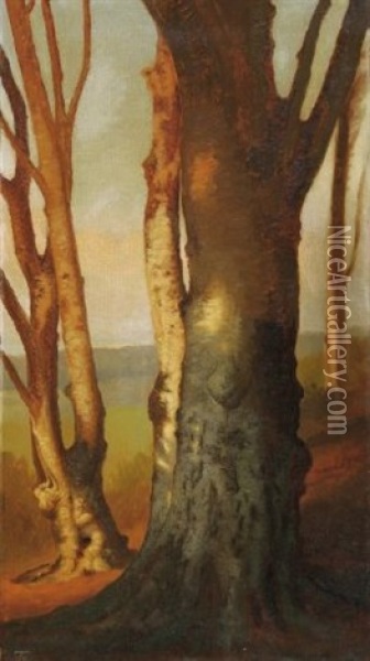 Baumstamme In Sonnenlicht Und Schatten Oil Painting - Eiler Rasmussen Eilersen