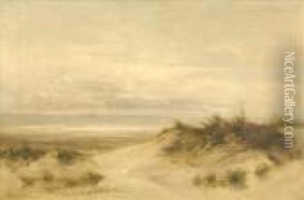 Coastal Scene Withsand Dunes And Gulls Oil Painting - Daniel Sherrin