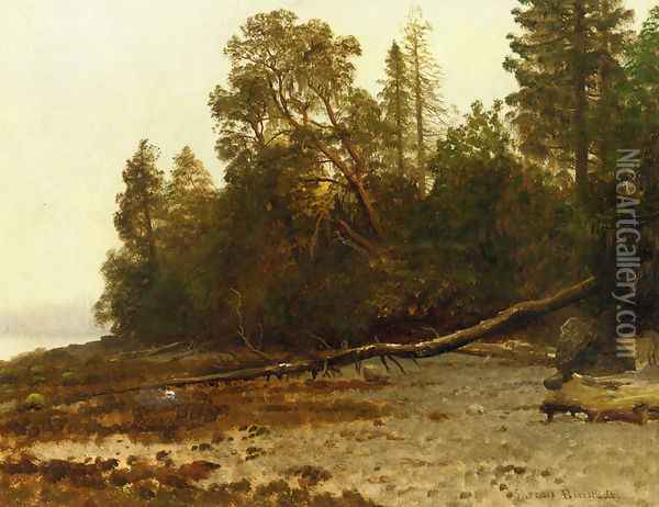 The Fallen Tree Oil Painting - Albert Bierstadt
