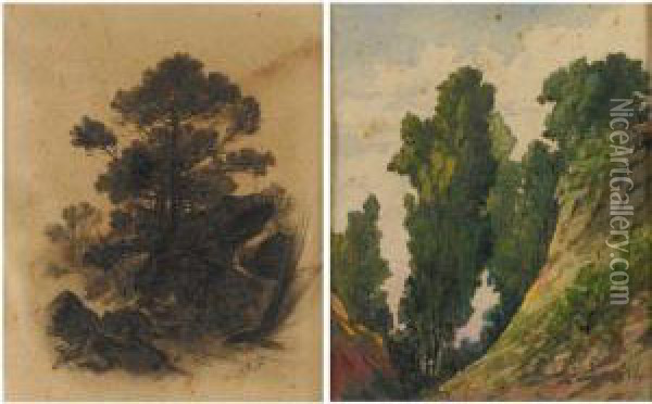 Due Schizzi Di Paesaggio Oil Painting - Antonio Fontanesi