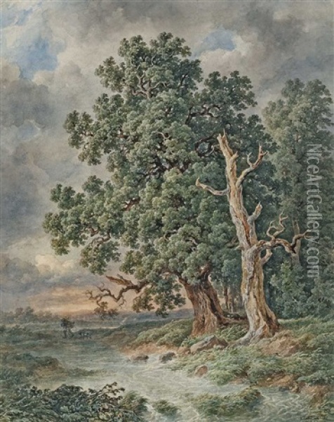 Baumgruppe An Einem Bach Oil Painting - Josef Kriehuber
