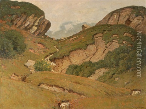 Landschaft Beim Tomasee Oil Painting - Hermann Gattiker