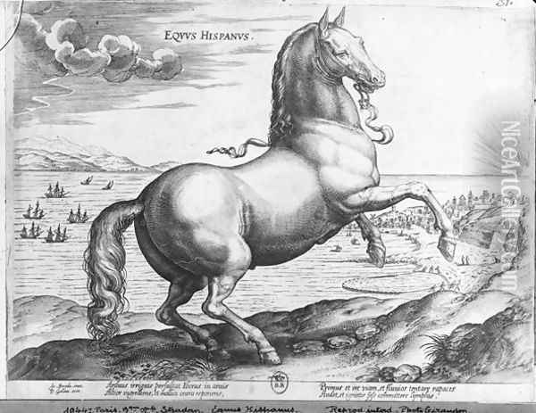 Equus Hispanus Oil Painting - Giovanni Stradano