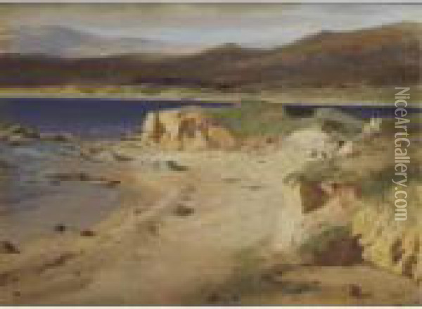 A Coastal View Near Cannes Oil Painting - Alexandre Calame