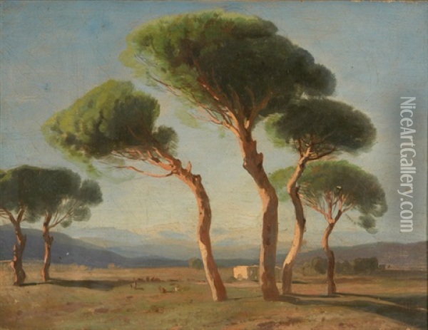 Pinien In Der Campagna Oil Painting - Alexandre Calame