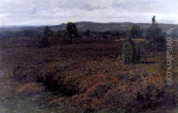 Bluhende Heidelandschaft Oil Painting - Friedrich Wilhelm Schwinge