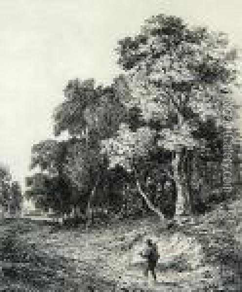 A Grove Of Trees With A Figure On The Road Oil Painting - George Vincent
