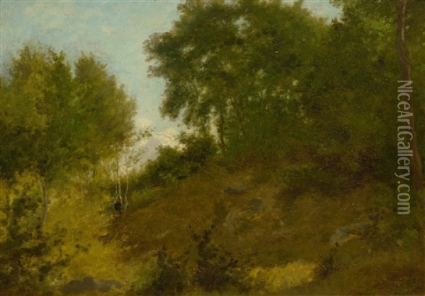 Forest Landscape Oil Painting - Antoine Chintreuil