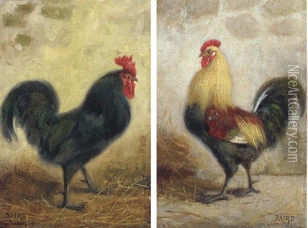 Cockerels (pair) Oil Painting - William Baptiste Baird