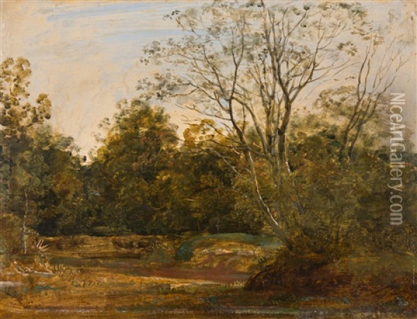 Herbstliche Parklandschaft Oil Painting - Georg Maximilian Johann Von Dillis