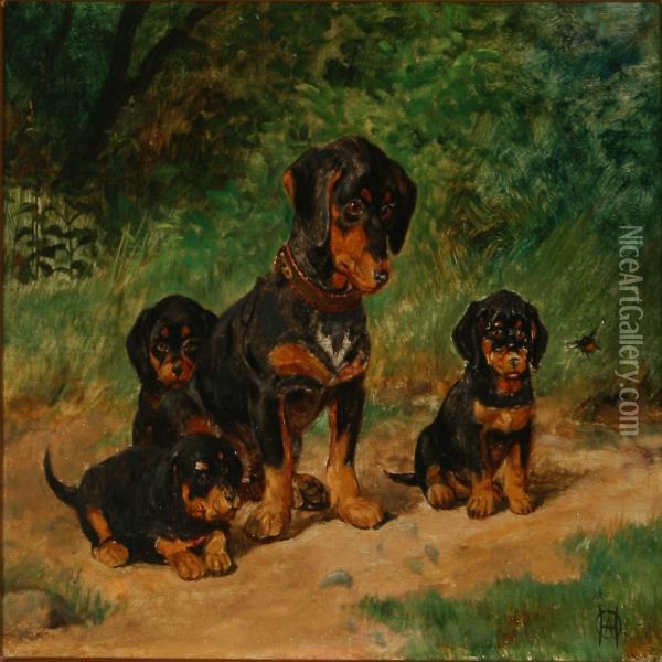 Four Dachshunds Watching A Bumble Bee Oil Painting - Olaf August Hermansen