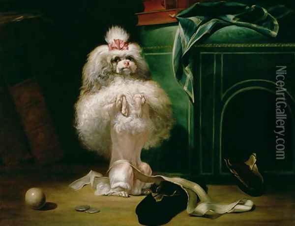 A Dog of the Havannah Breed 1768 Oil Painting - Jean Jacques Bachelier